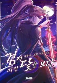 In the Night Consumed by Blades, I Walk (Sword Fanatic Wanders Through The Night)